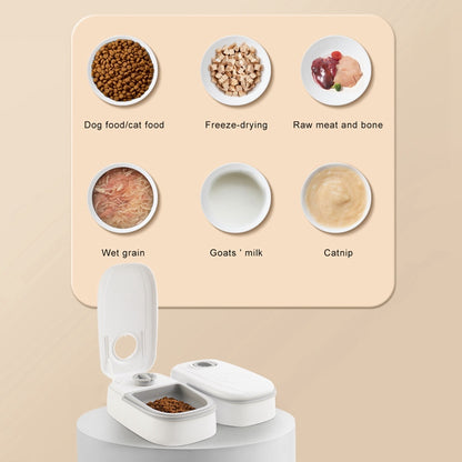Smart Automatic Cat Feeder | Stainless Steel Bowl