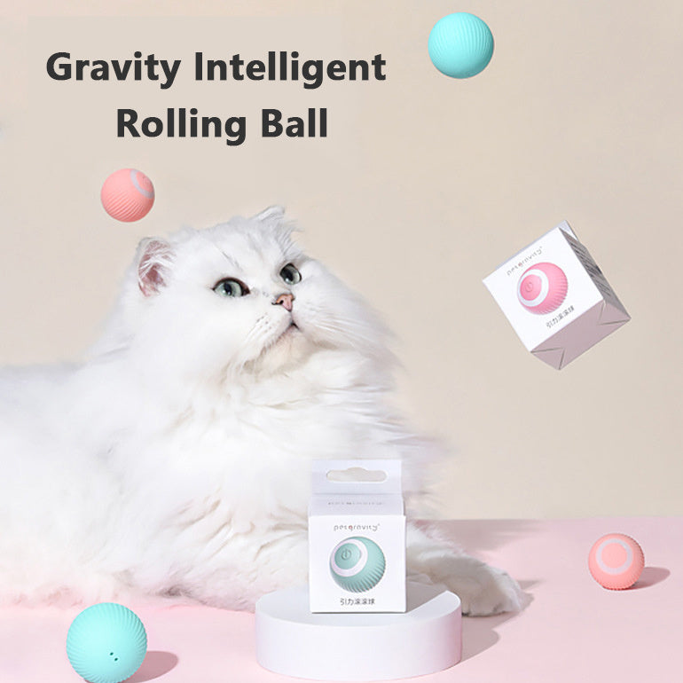 Smart Rolling Ball