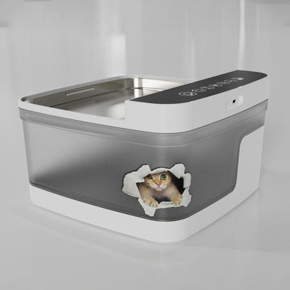 Cat Water Dispenser