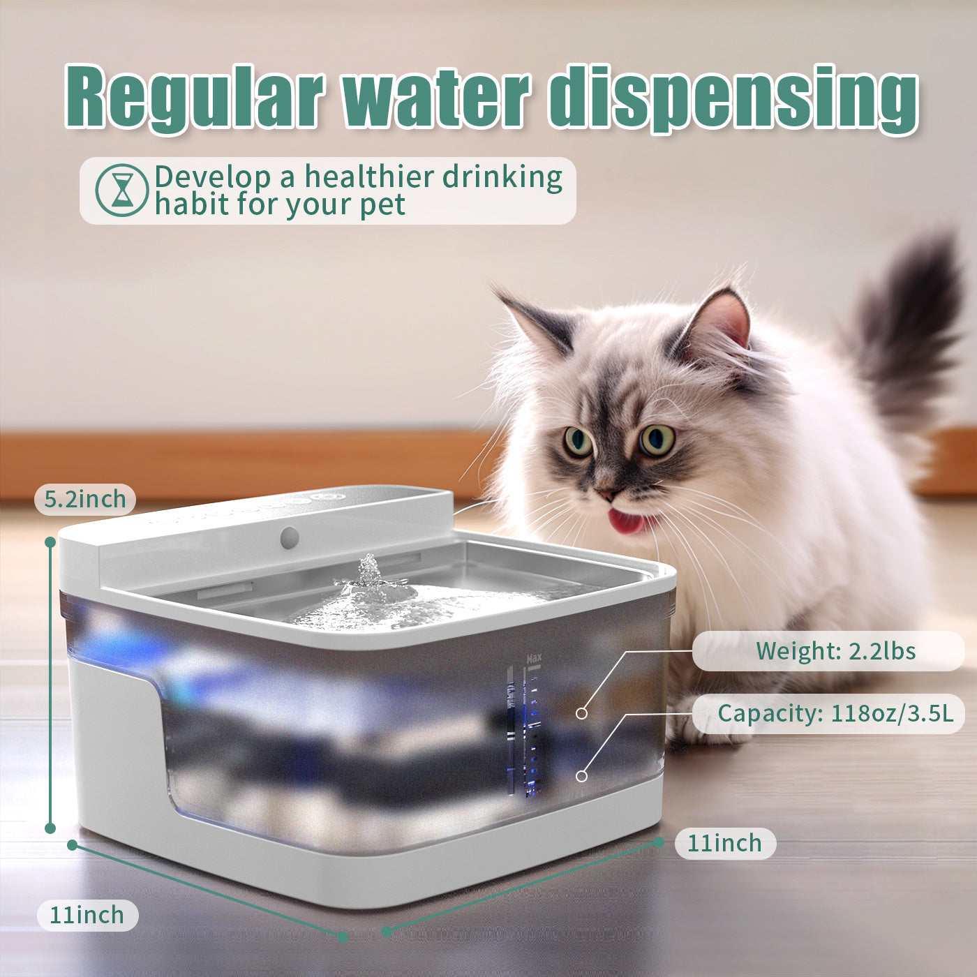 Cat Water Dispenser